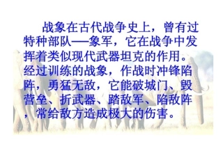 最后一头战象 (4)