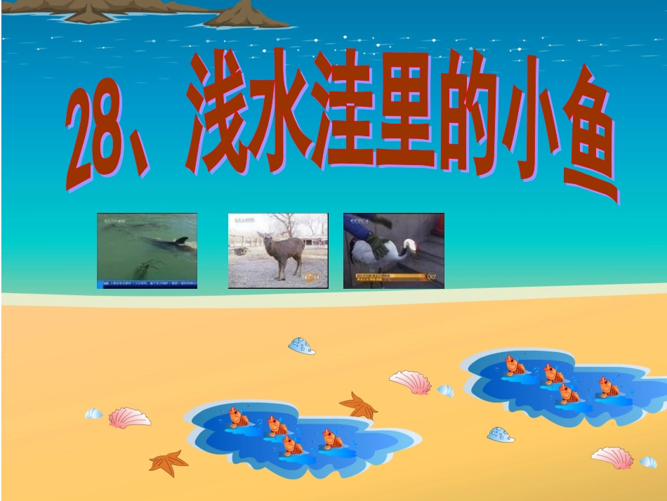 《浅水洼里的小鱼》课件_第2页