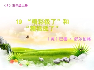 “精彩极了”和“糟糕透了” (2)