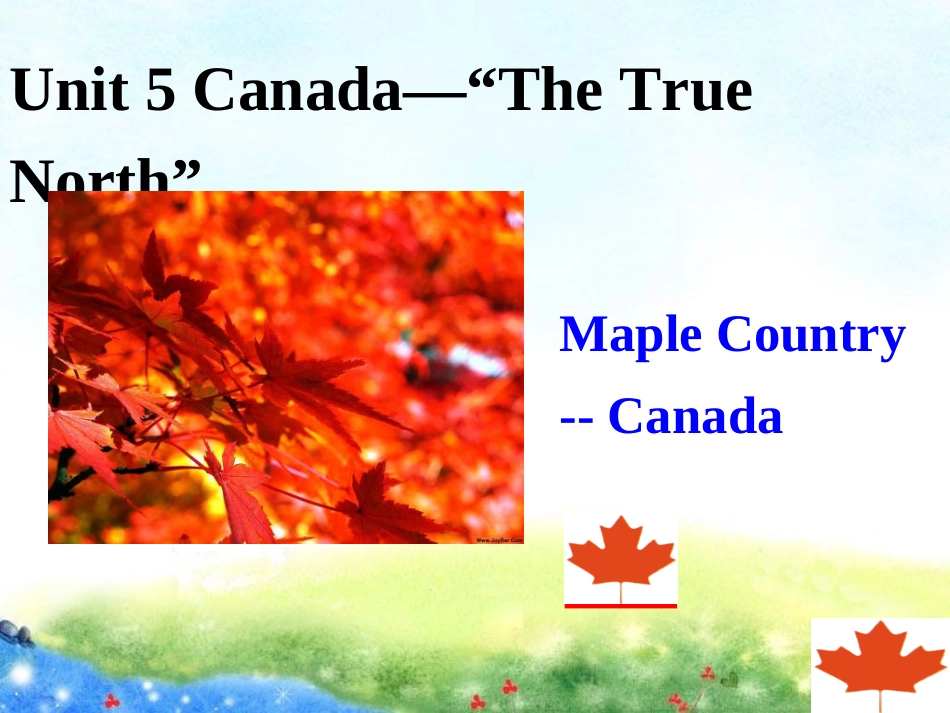必修3_unit5_Canada_Reading讲课课件_第2页