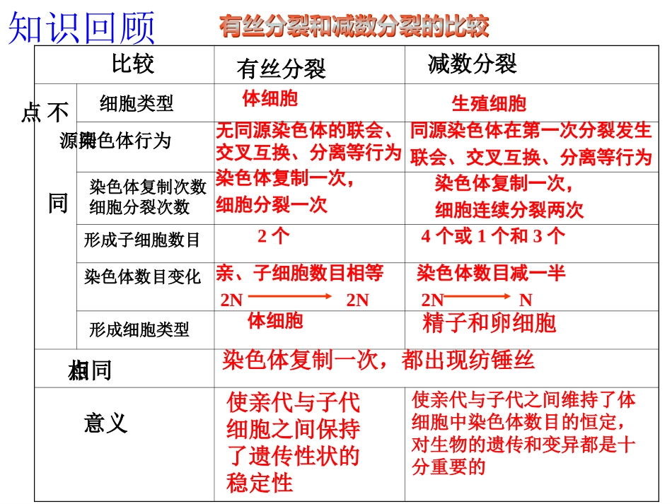 有丝分裂何减数分裂的图形对比_第3页