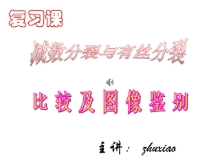 有丝分裂何减数分裂的图形对比