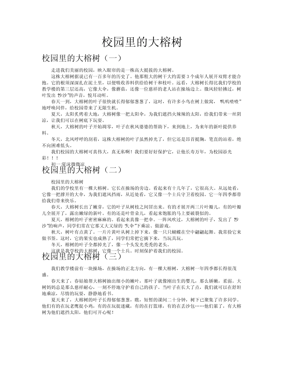 校园里的大榕树作文共八篇_第1页