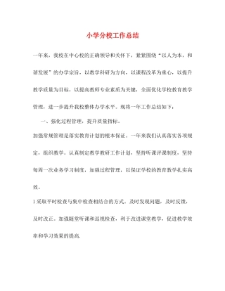 小学分校工作总结