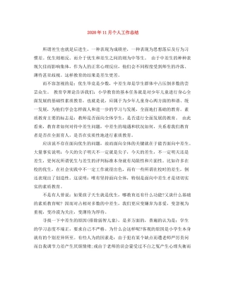 2020年11月个人工作总结