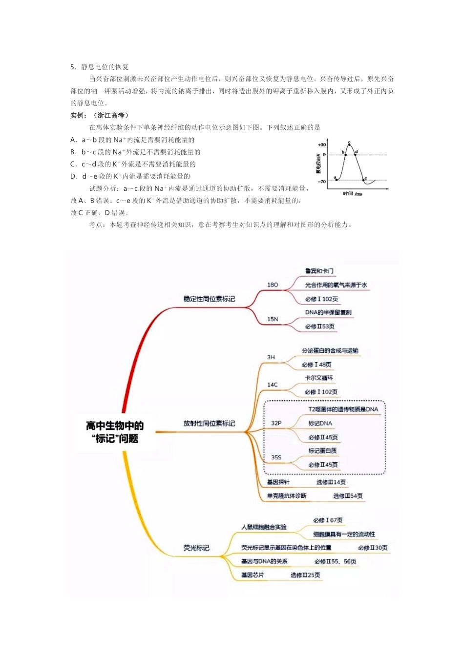 动作-静息电位_第2页
