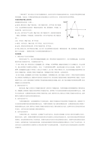 动作-静息电位