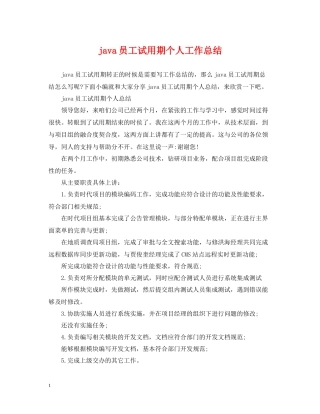 java员工试用期个人工作总结