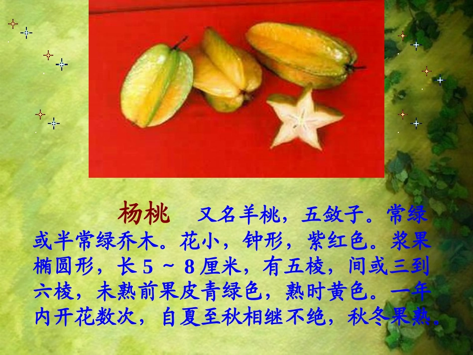 人教新课标三年级语文下册《画杨桃4》PPT课件_第2页