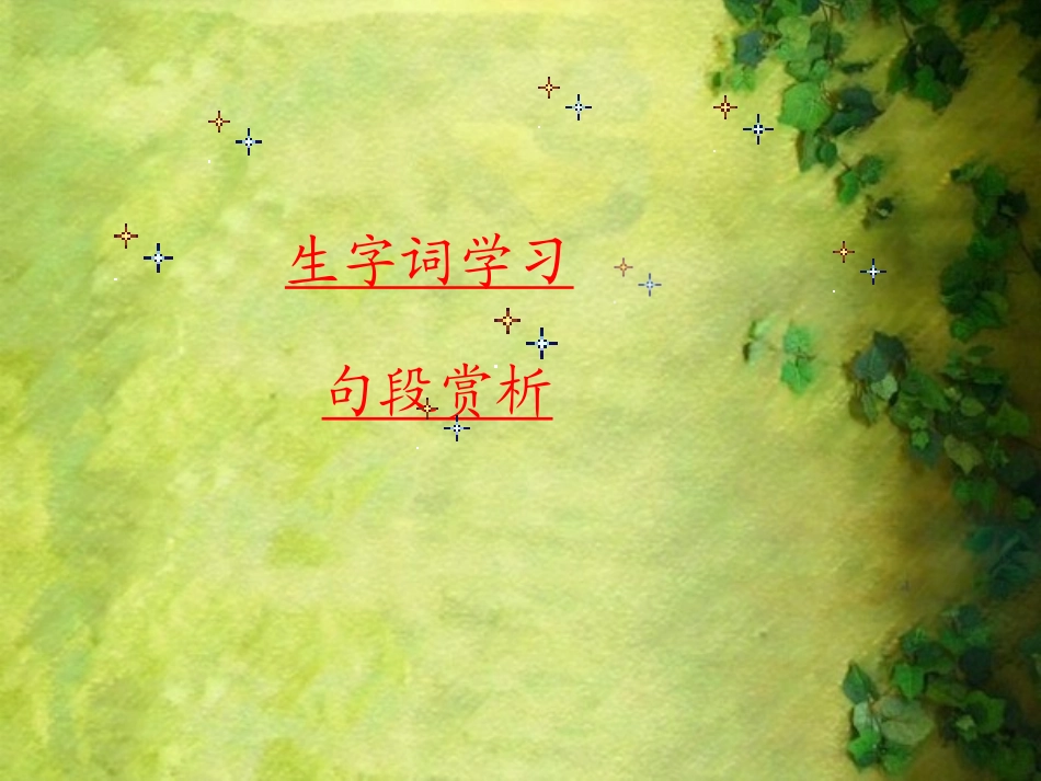 人教新课标三年级语文下册《画杨桃4》PPT课件_第3页