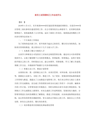 新员工试用期转正工作总结开头