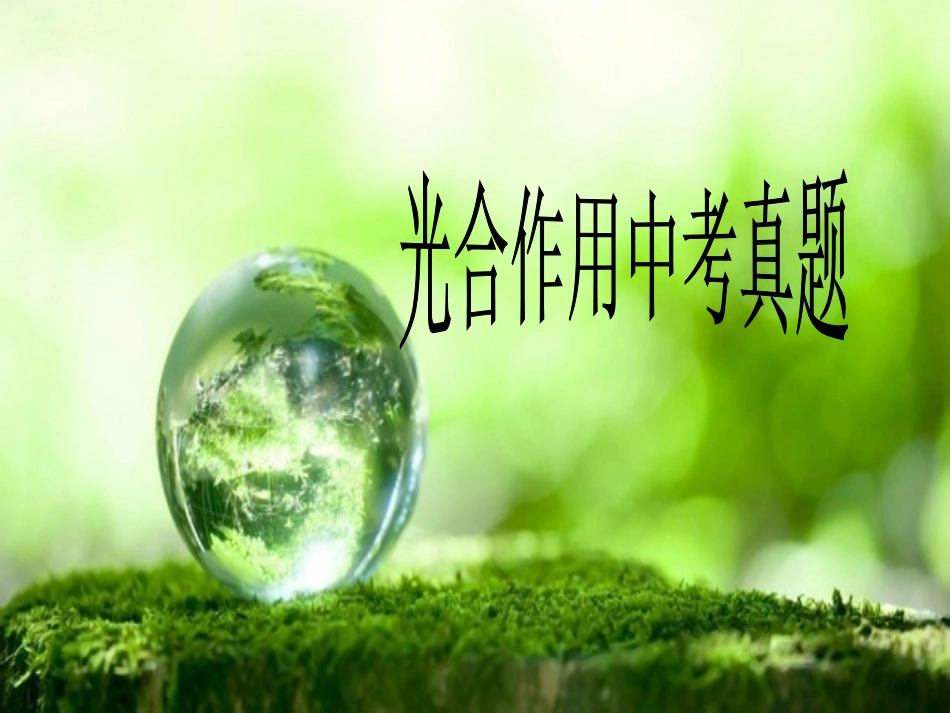 光合作用中考真题_第1页