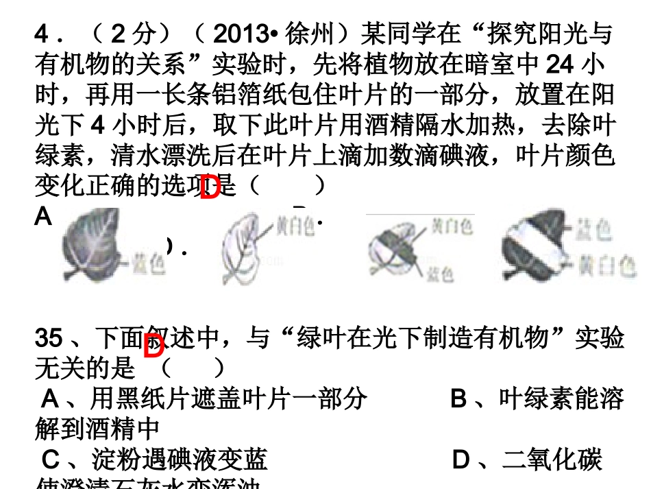 光合作用中考真题_第2页