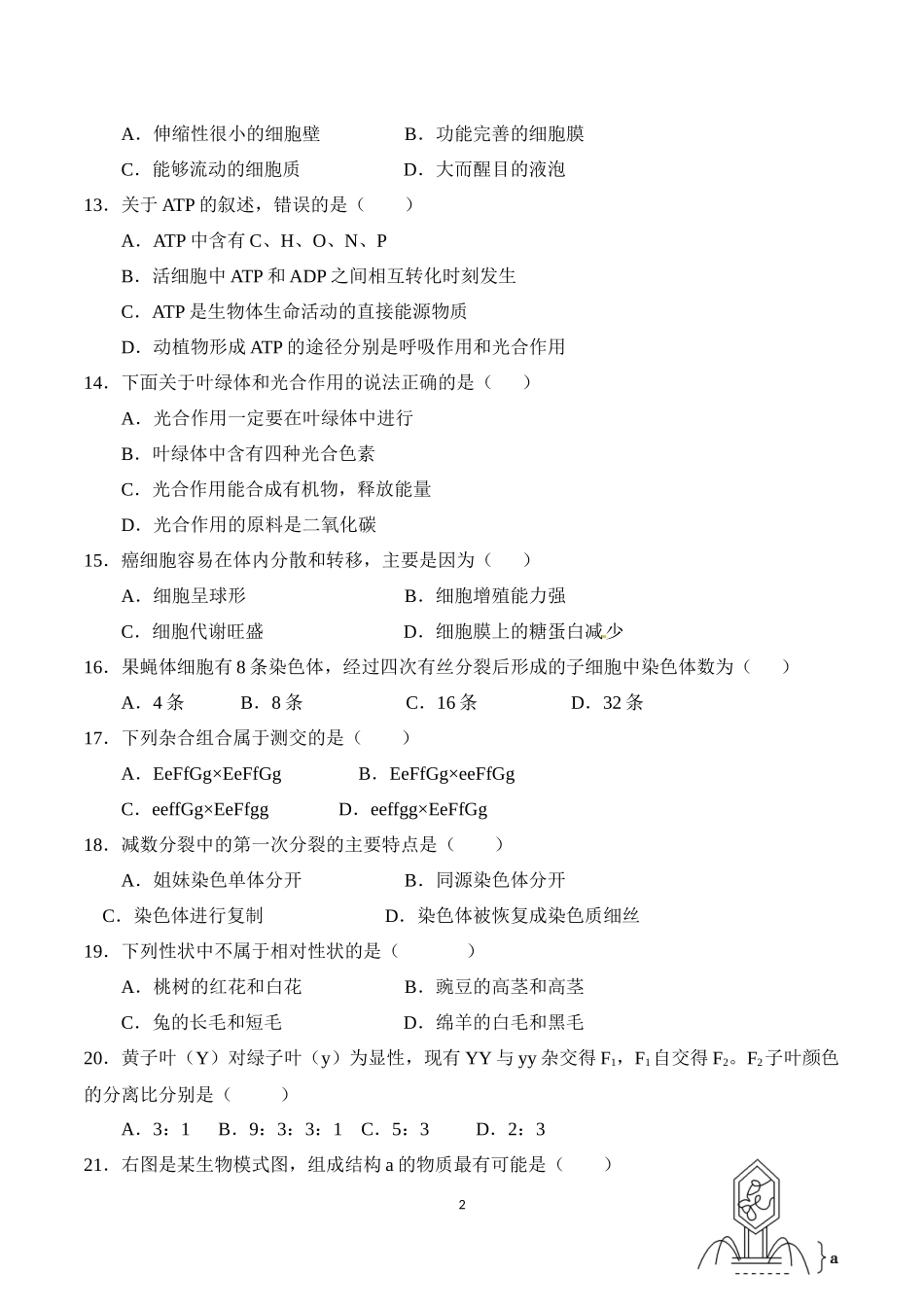 合格考模拟试题二_第2页