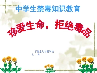 禁毒教育课件