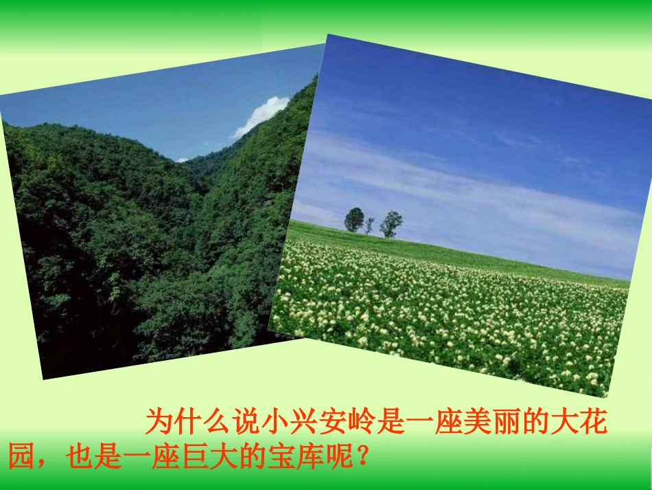 美丽的小兴安岭 (2)_第2页