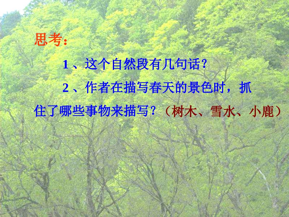 美丽的小兴安岭 (2)_第3页