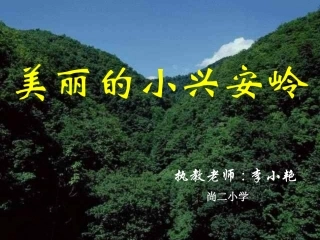 美丽的小兴安岭 (2)
