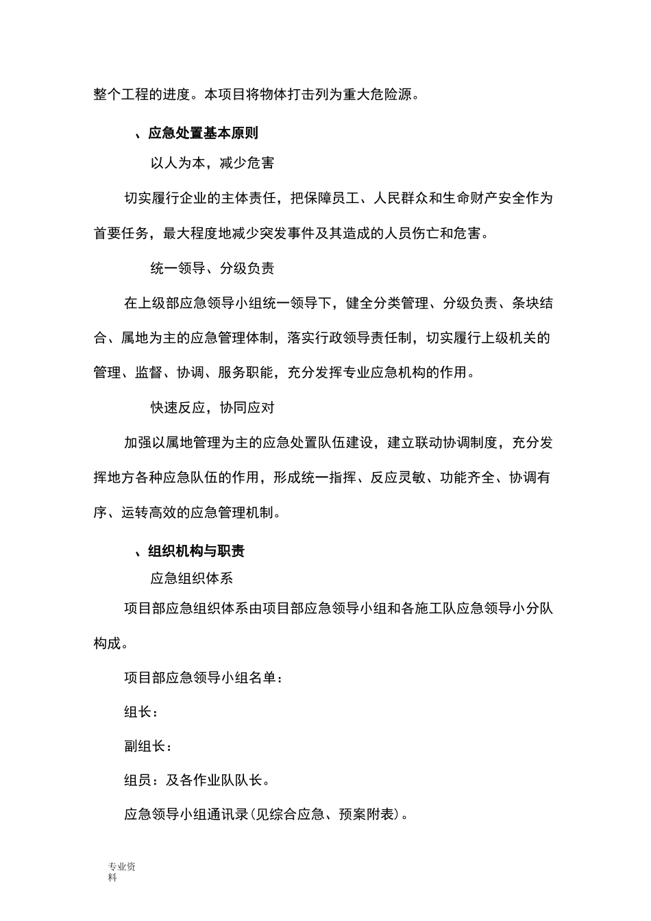 物体打击专项应急预案_第2页