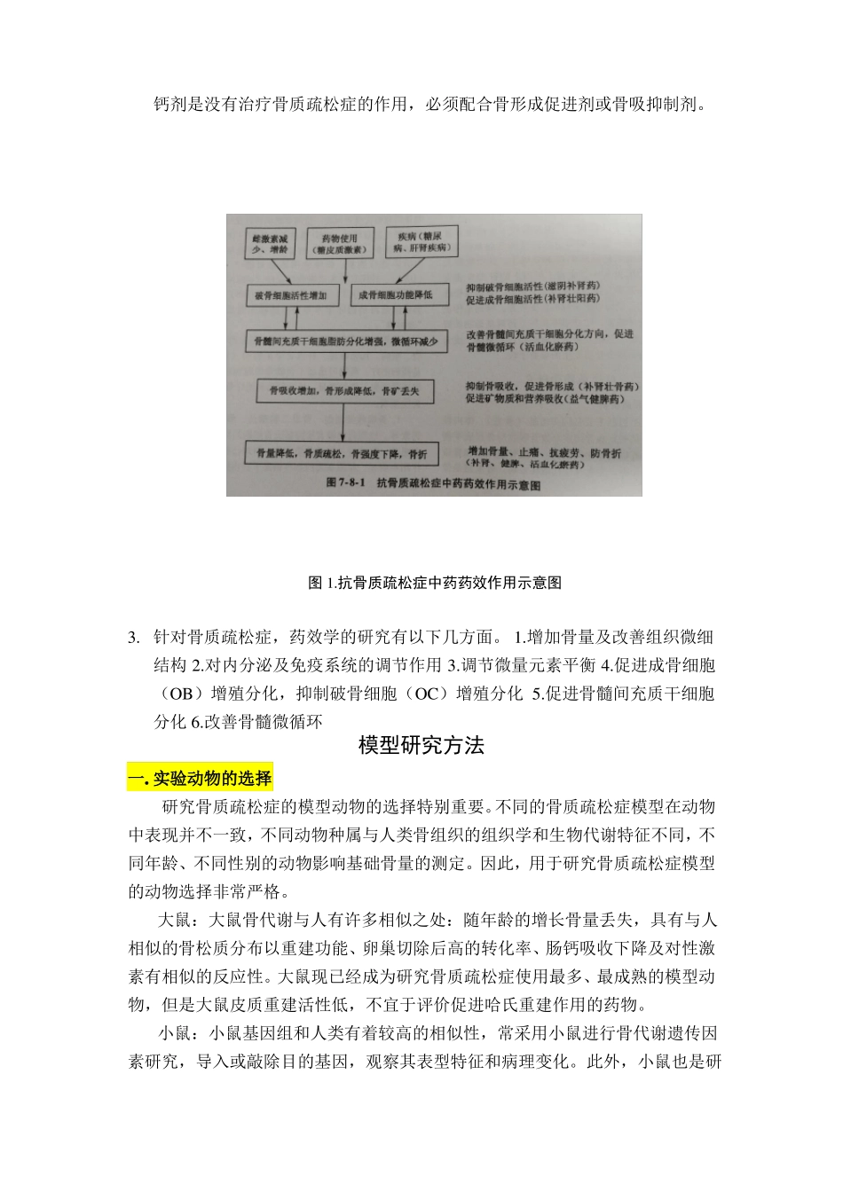 骨质疏松常见模型_第2页