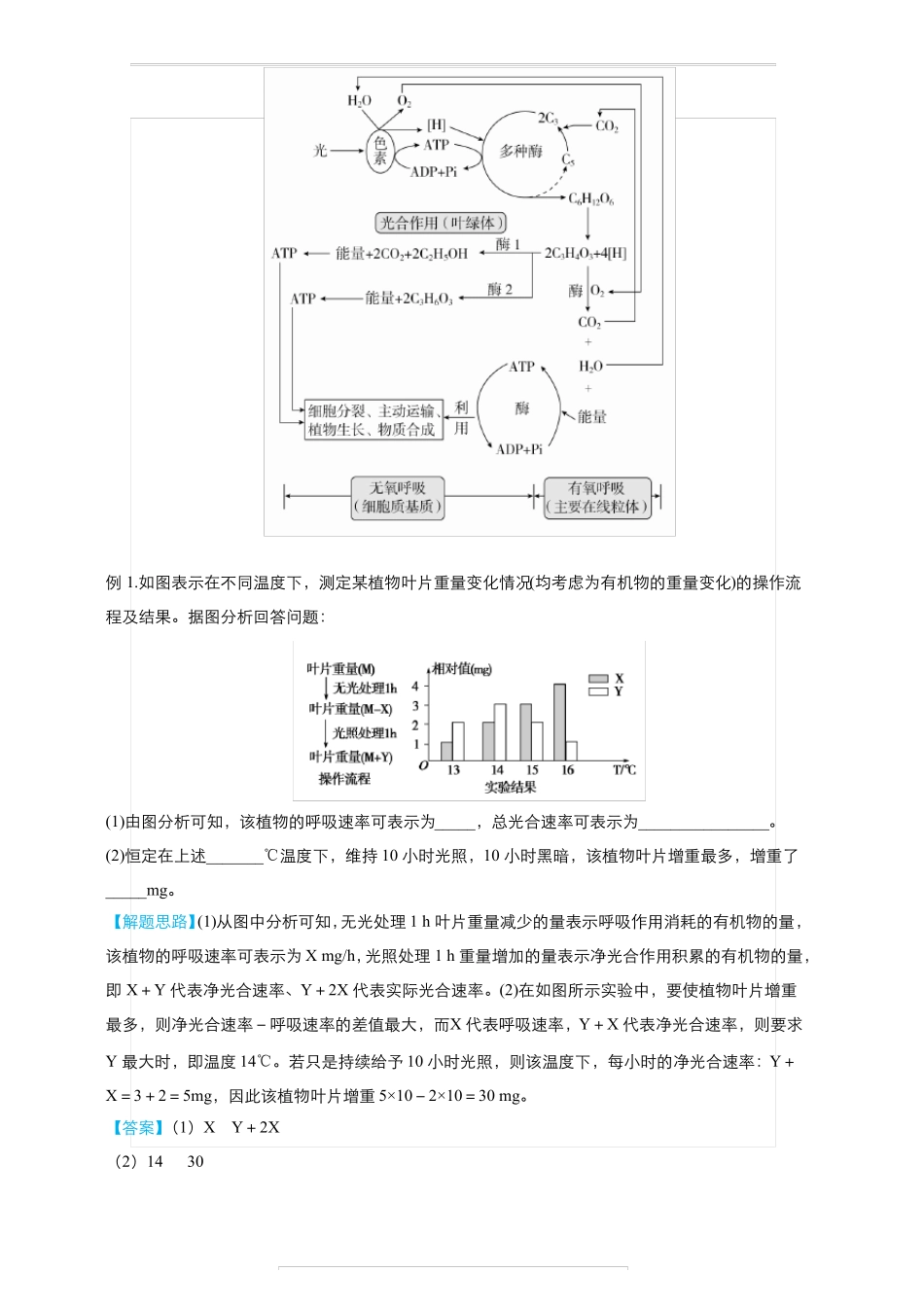 2019届高考生物二轮复习专题4：光合作用和细胞呼吸含答案_第2页