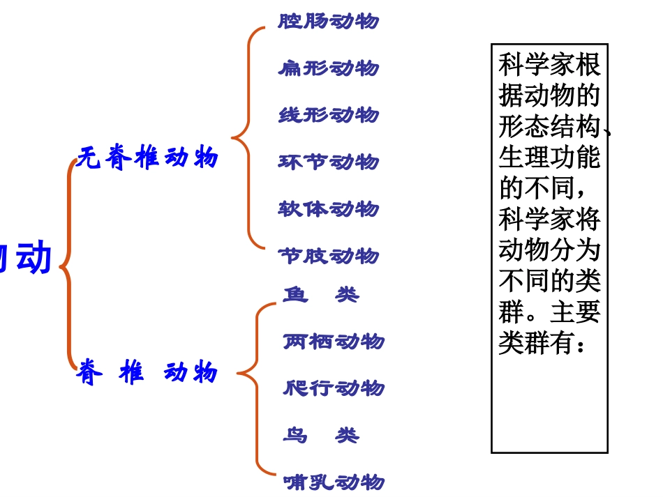 _第一节_腔肠动物和扁形动物_第3页