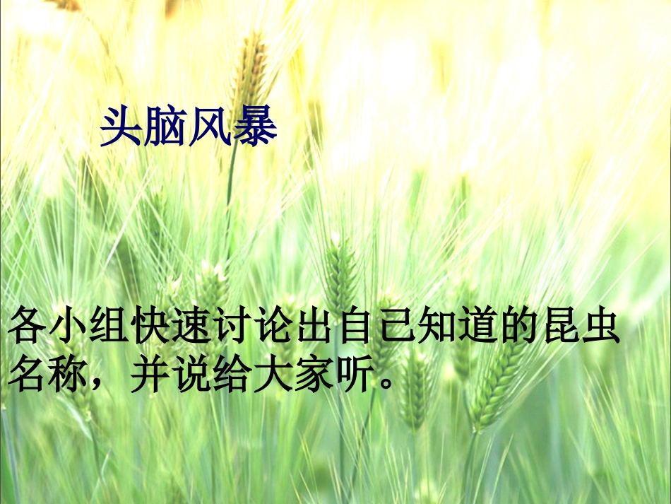 蟋蟀的住宅 ()_第1页