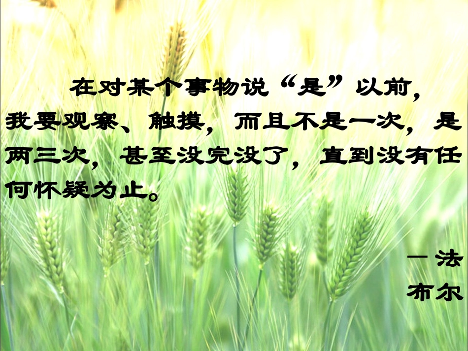 蟋蟀的住宅 ()_第2页