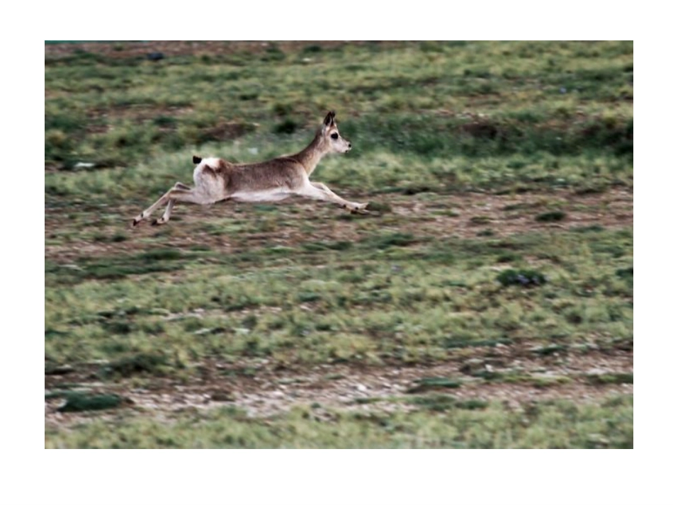 像山那样思考90_第3页