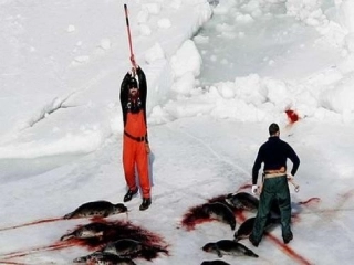 像山那样思考90