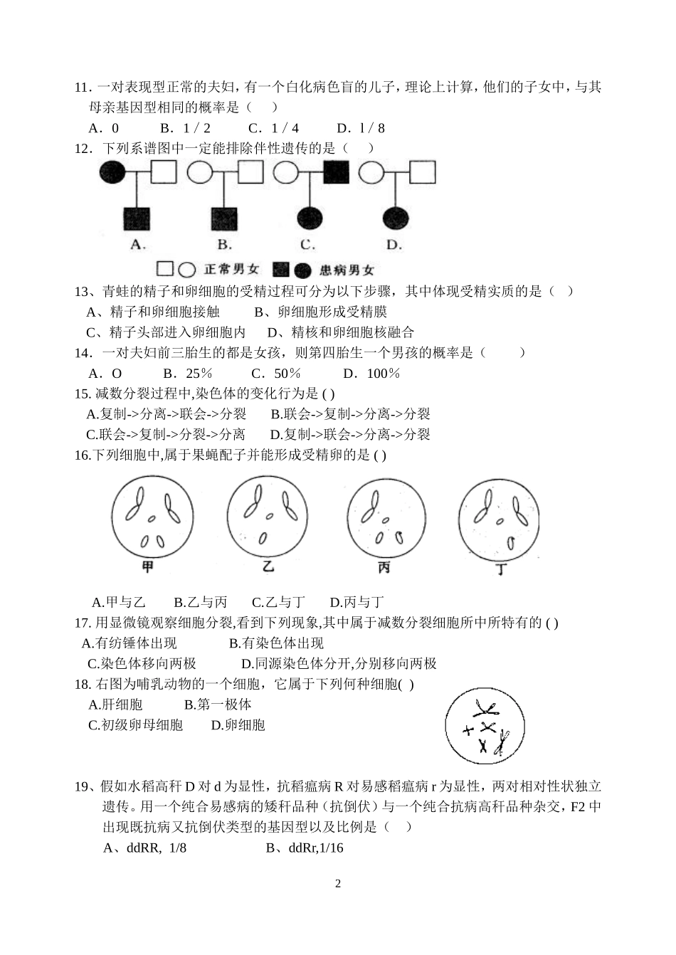 基因和染色体的关系单元测试_第2页