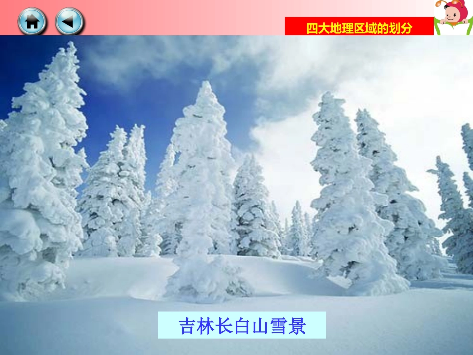第一节：四大地理区域的划分_第2页