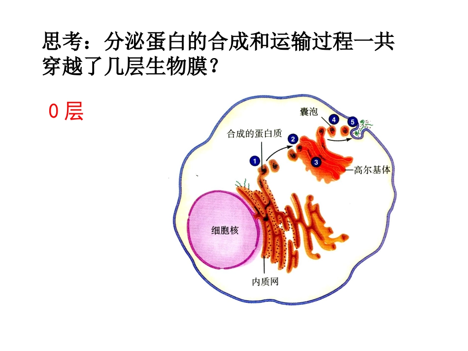 物质跨膜运输方式 (2)_第3页