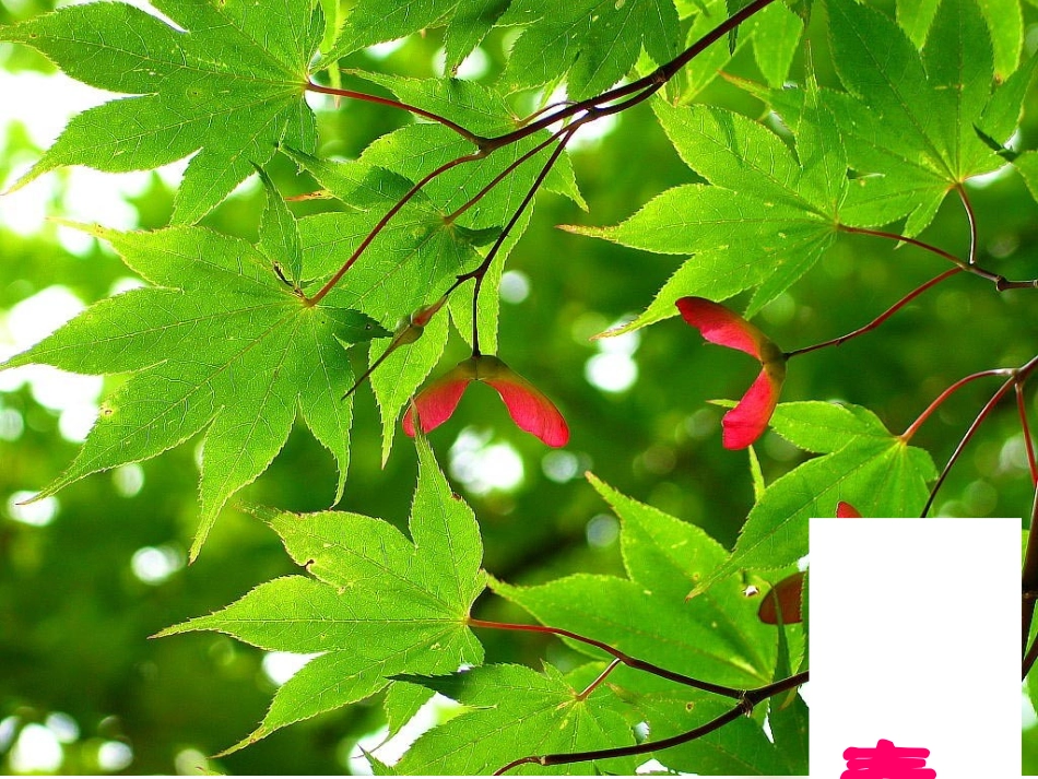 用表格表示的变量间的关系课件_第2页