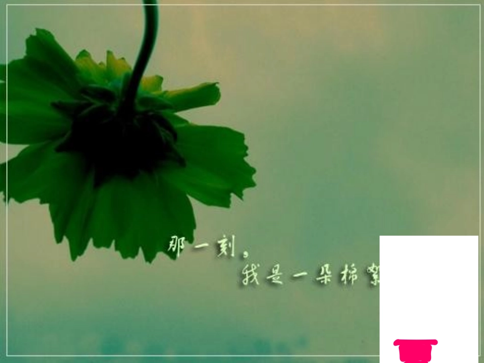 用表格表示的变量间的关系课件_第3页