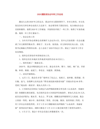 摄影家协会年终工作总结