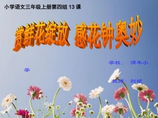 《花钟》课件