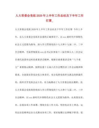 人大常委会党组年上半年工作总结及下半年工作打算_