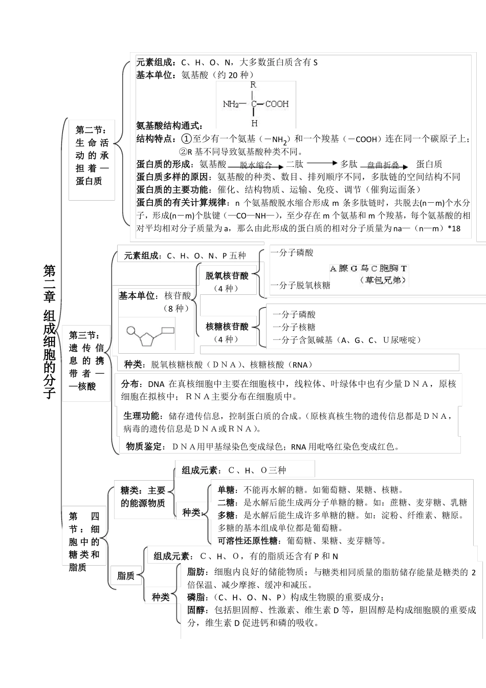 高中生物必修一二三会考高考必备知识点大全_第3页