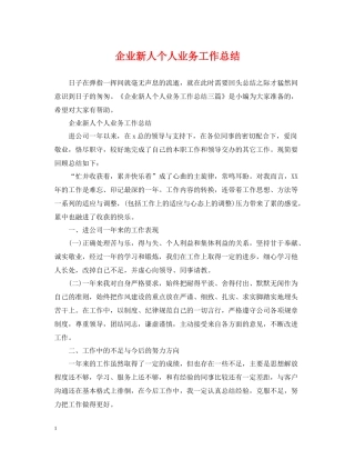 企业新人个人业务工作总结