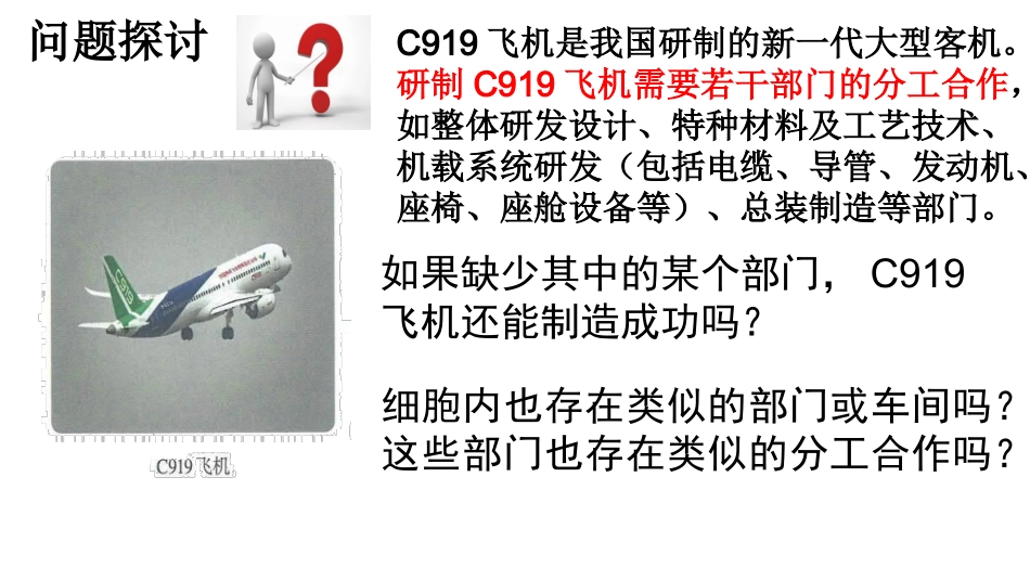 细胞器之间的分工合作（第课时）_第2页