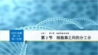 细胞器之间的分工合作（第课时）
