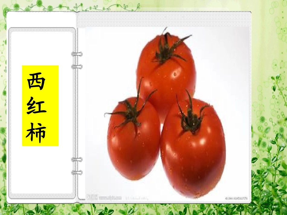 菜园里2014PPT_第3页