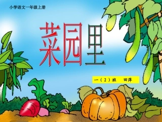 菜园里2014PPT