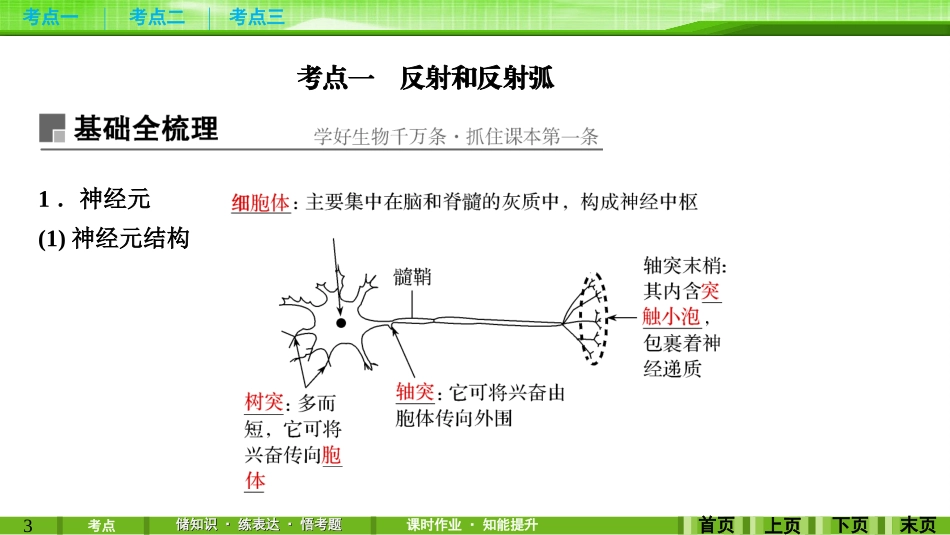 第24讲通过神经系统的调节_第3页