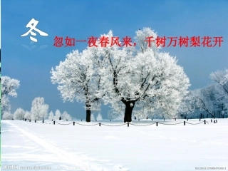 地球公转的基本规律