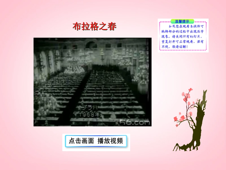 （新课标）九年级历史下册第12课苏东的艰难探索课件北师大版_第2页
