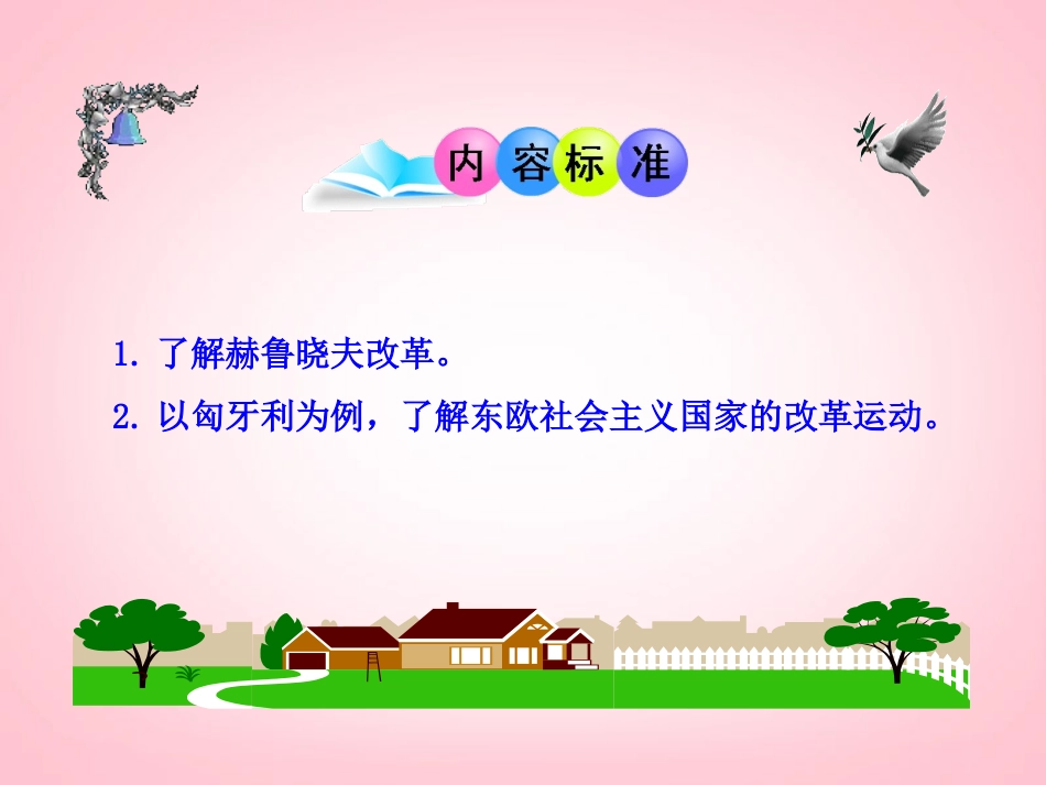 （新课标）九年级历史下册第12课苏东的艰难探索课件北师大版_第3页