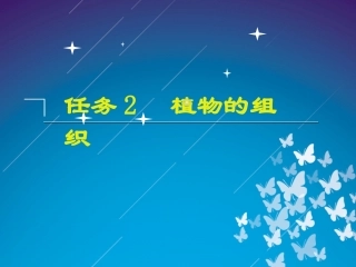 任务二植物组织