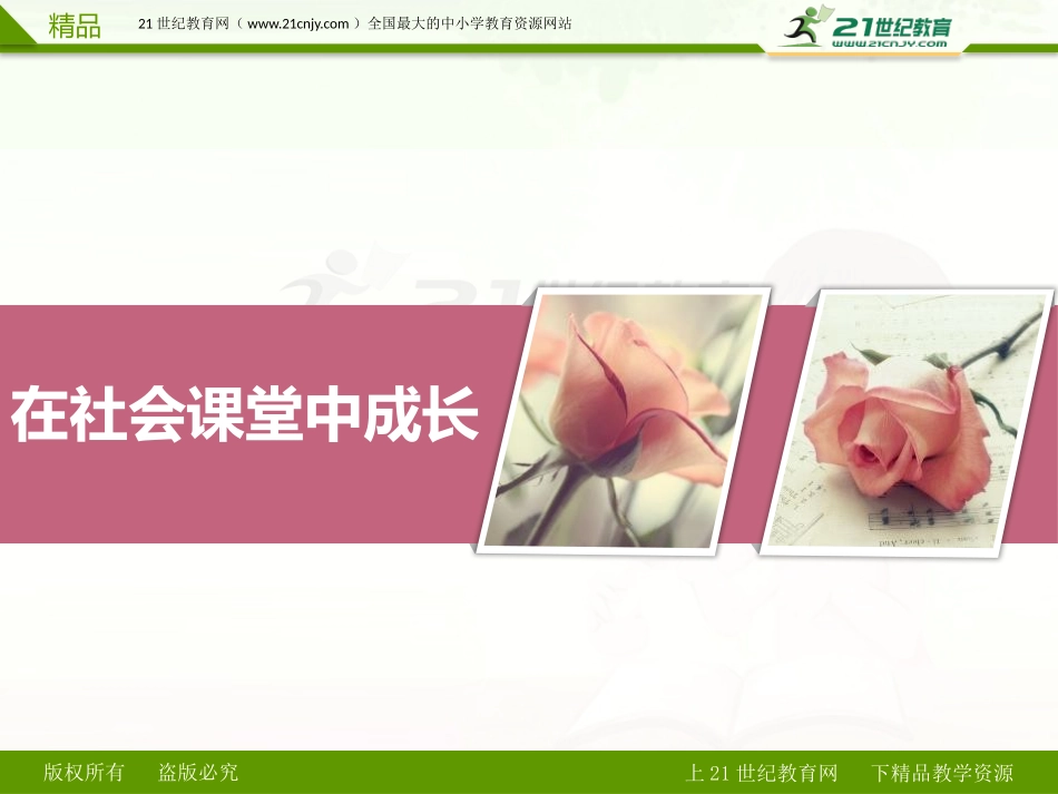 第一课第二节在社会中成长精品课件_第2页